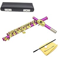 Amazon.co.jp: 16 キー C フルート ピッコロ、ピッコロ楽器